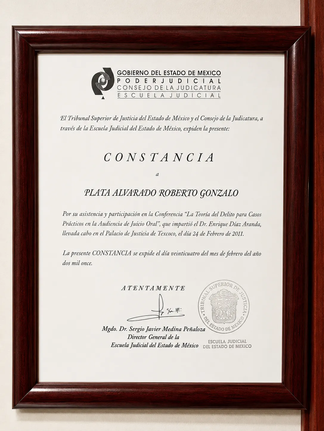 Constancia de la Escuela Judicial del Estado de México por la conferencia sobre teoría del delito en audiencia de juicio oral, Texcoco, 2011.